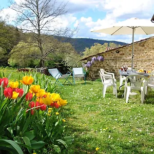  Holiday home Casa Al Miglio Italy
